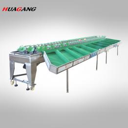 XG-9600 Stainless steel fruit and vegetable sorting machine