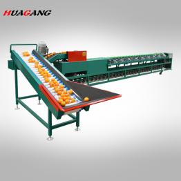 XG-9600 automatic loading apple grader fruit sorting machine