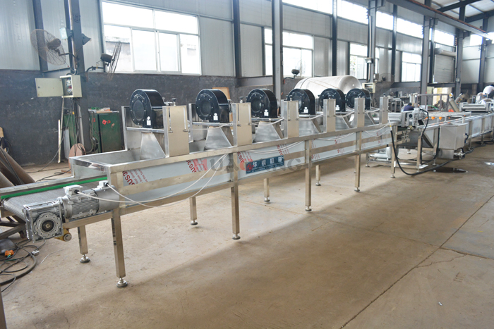 vegetable processing line 4.jpg