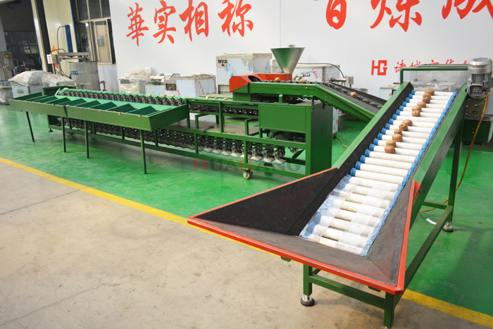 automatic single sorting machine 11.jpg