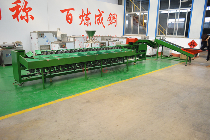 automatic single sorting machine 12.jpg