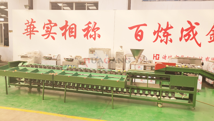 automatic single sorting machine 13.jpg