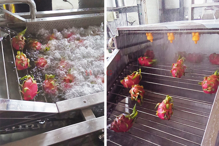 Dragon fruit washing machine 3.jpg