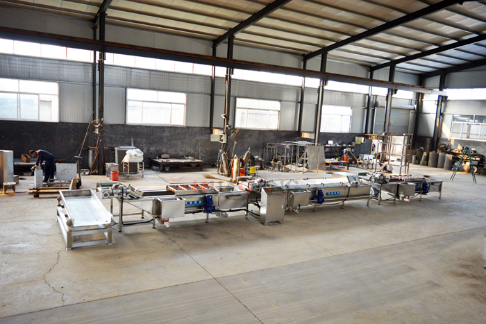 Vegetable processing line.jpg