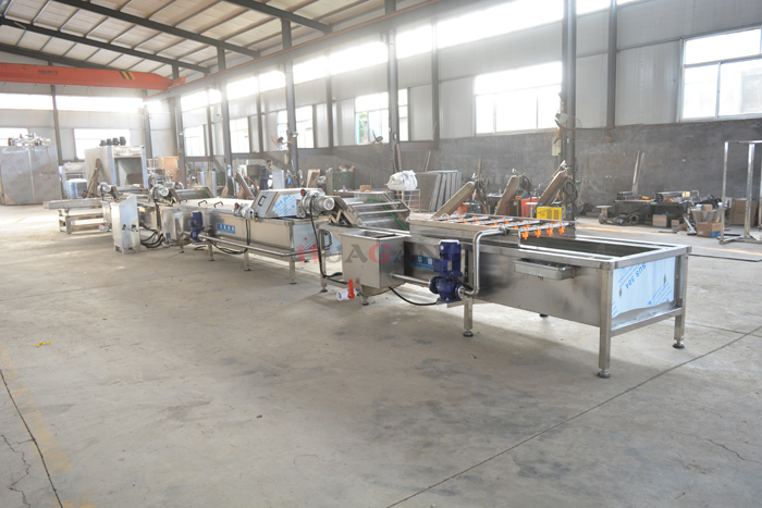 Vegetable processing line 2.jpg