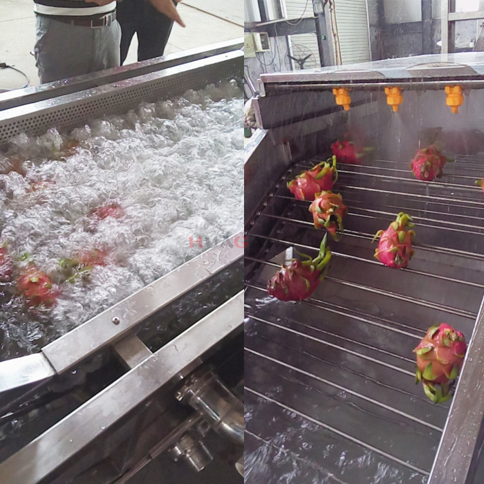 dragon fruit washing 4.jpg