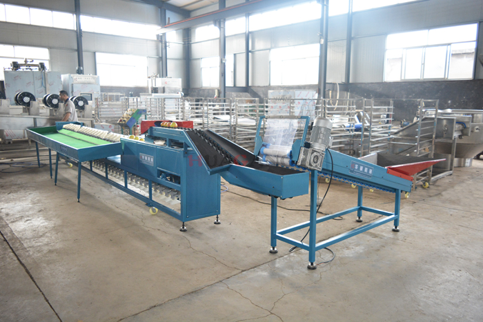 New style sorting machine 13.jpg