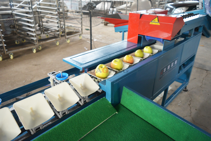 New style sorting machine 12.jpg