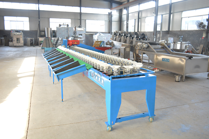 Fruit sorting machine 3.jpg