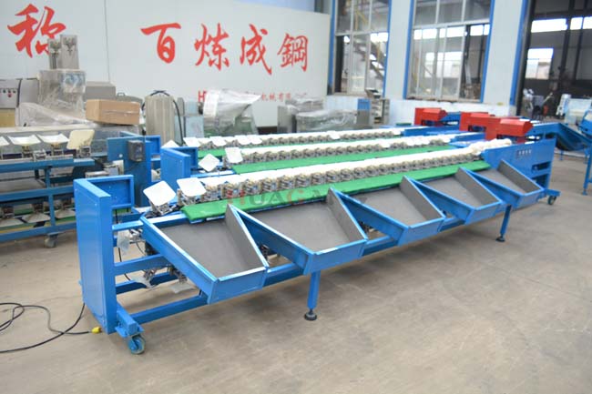 fruit sorting machine 3.jpg